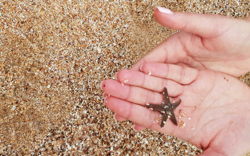 rb_wunderlich_ctwasa8 Küstenwandern auf Sardinien 25