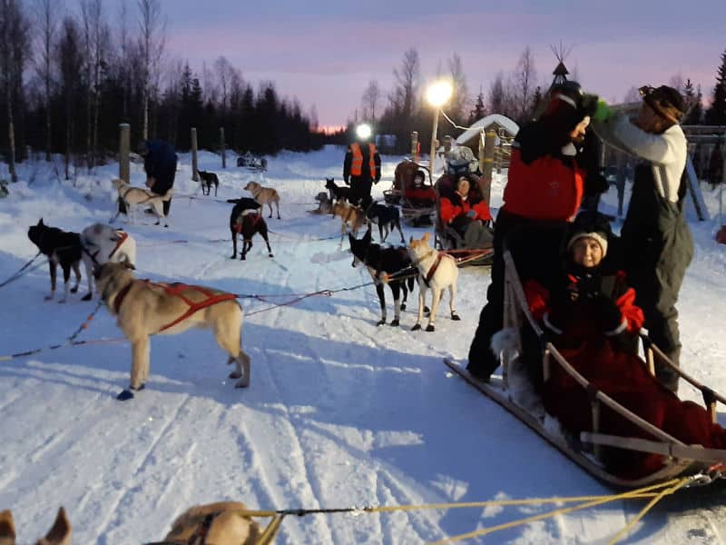 Magique, la Laponie en hiver 1