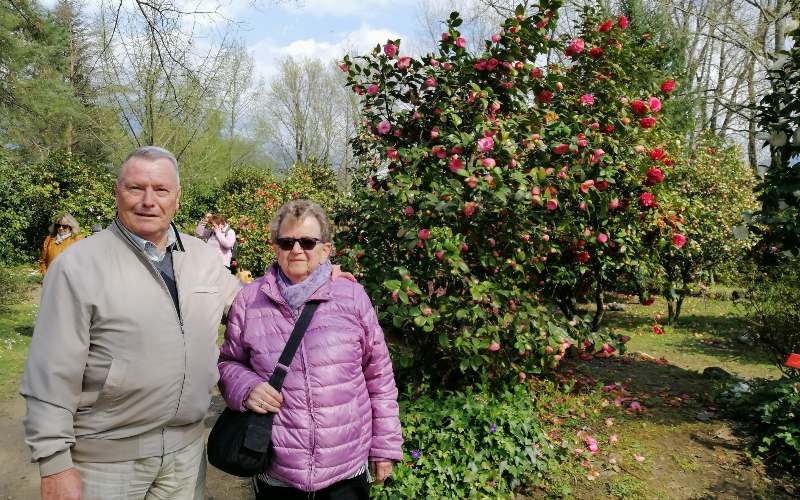 rb_abegg_drekate_10 Zauberhafte Kamelienblüte im Tessin 11