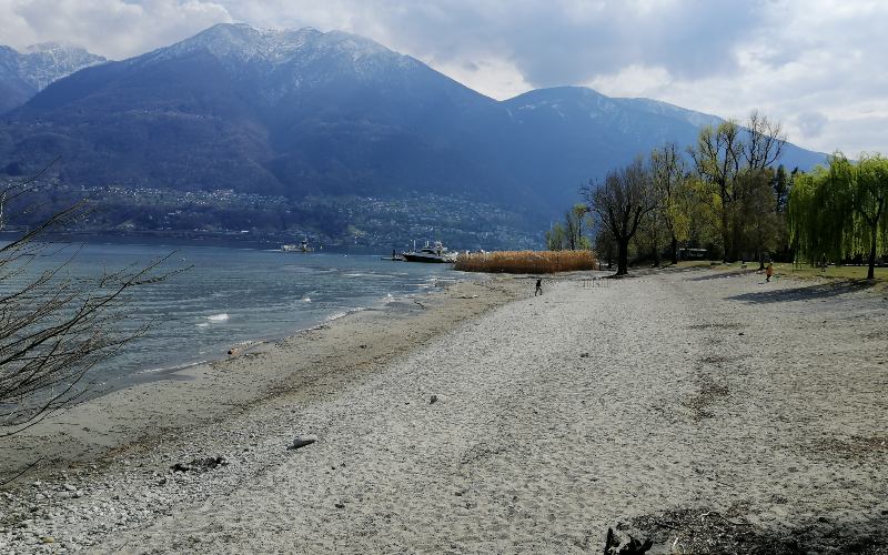 rb_abegg_drekate_15 Zauberhafte Kamelienblüte im Tessin 16