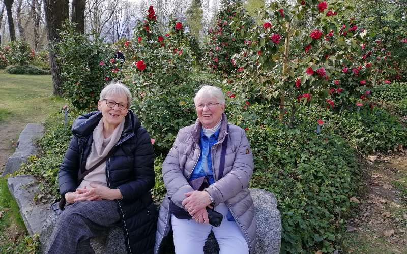 rb_abegg_drekate_16 Zauberhafte Kamelienblüte im Tessin 17