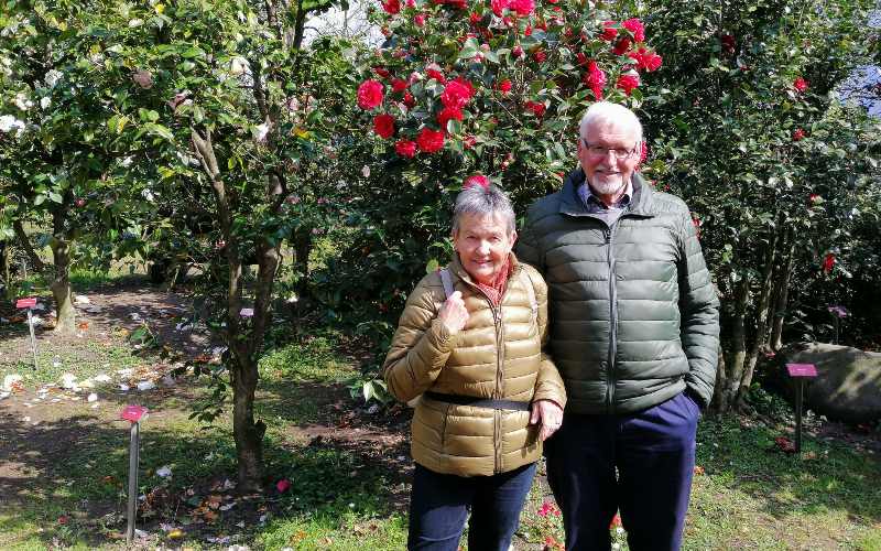 rb_abegg_drekate_17 Zauberhafte Kamelienblüte im Tessin 18