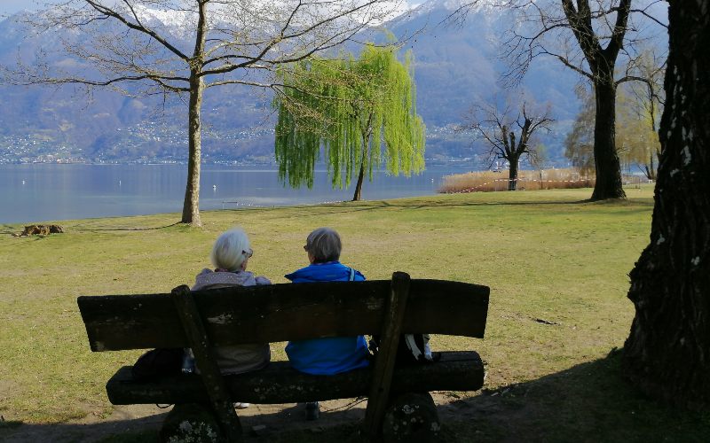 rb_abegg_drekate_20 Zauberhafte Kamelienblüte im Tessin 21