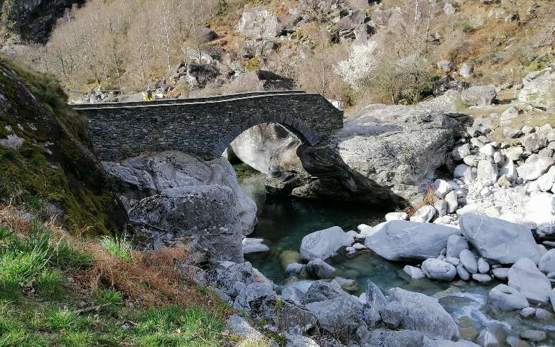 rb_abegg_drekate_22 Zauberhafte Kamelienblüte im Tessin 23