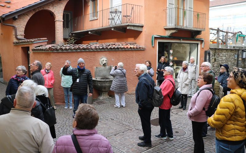 rb_abegg_drekate_4 Zauberhafte Kamelienblüte im Tessin 5