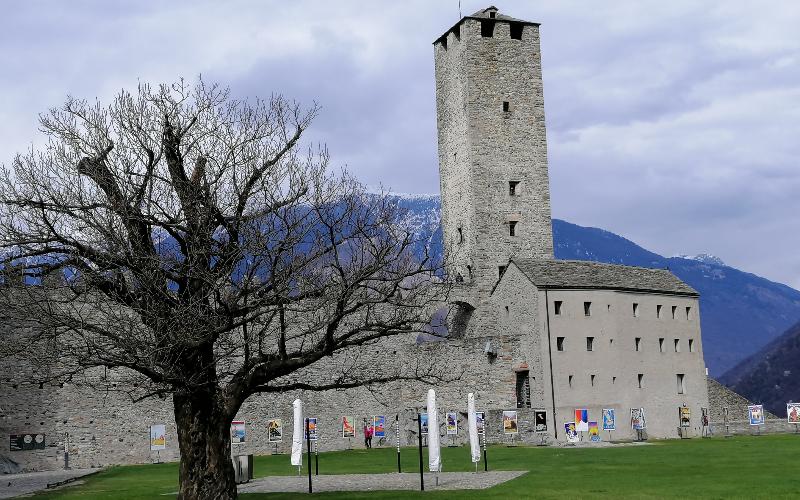 rb_abegg_drekate_6 Zauberhafte Kamelienblüte im Tessin 7