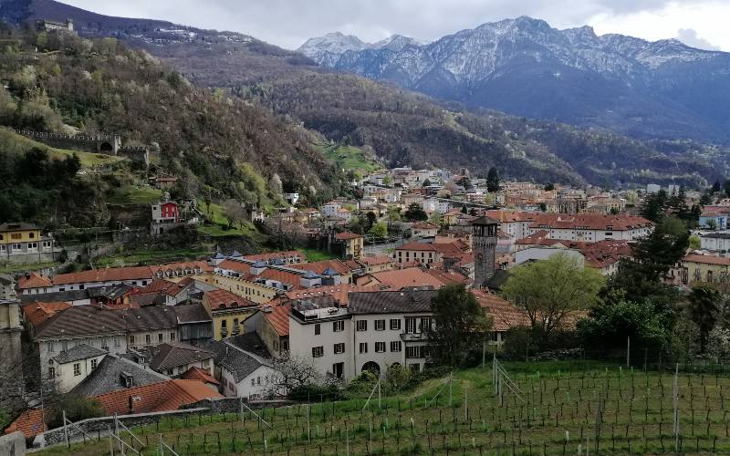 rb_abegg_drekate_7 Zauberhafte Kamelienblüte im Tessin 8