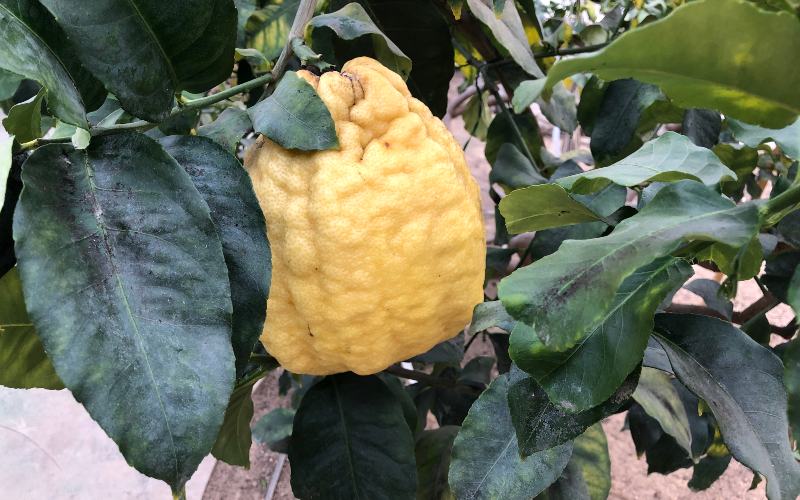 rb_daehler_dsptosk_40 Preiskracher Toskana mit Jacqueline Dähler 43