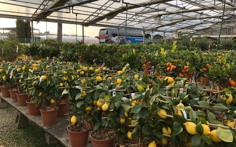 rb_daehler_dsptosk_43 Preiskracher Toskana mit Jacqueline Dähler 46