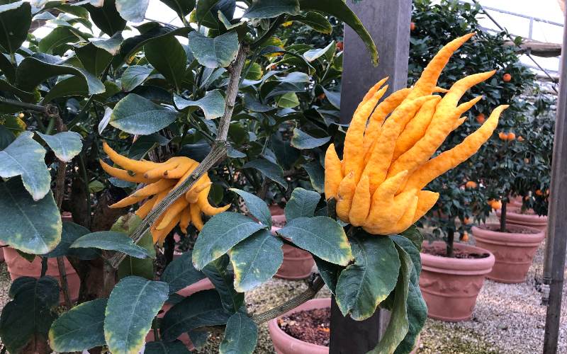 rb_daehler_dsptosk_45 Preiskracher Toskana mit Jacqueline Dähler 48