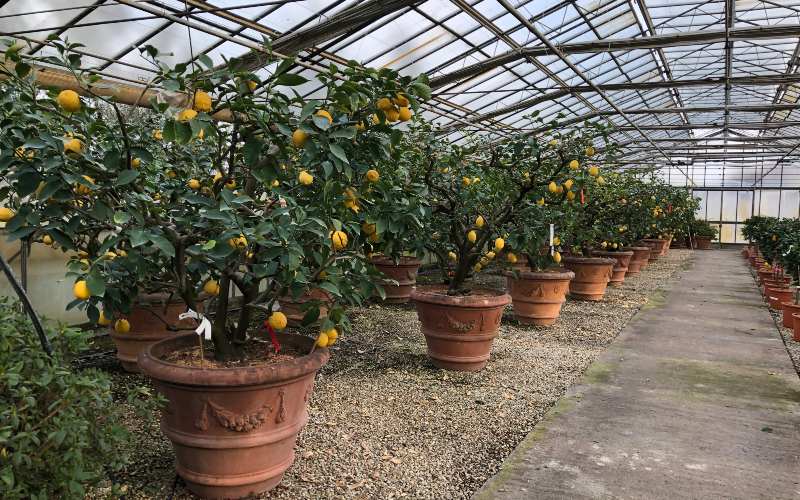 rb_daehler_dsptosk_46 Preiskracher Toskana mit Jacqueline Dähler 49