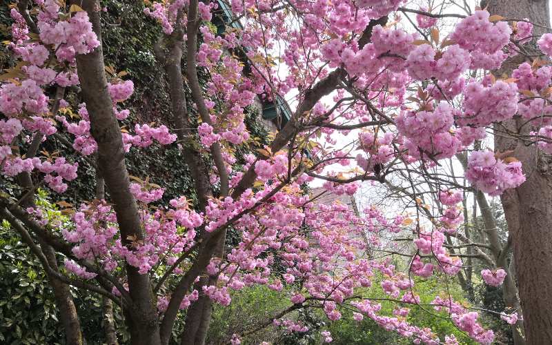 rb_dxfsei_giovanoli_9 Ostern auf der Seine 37