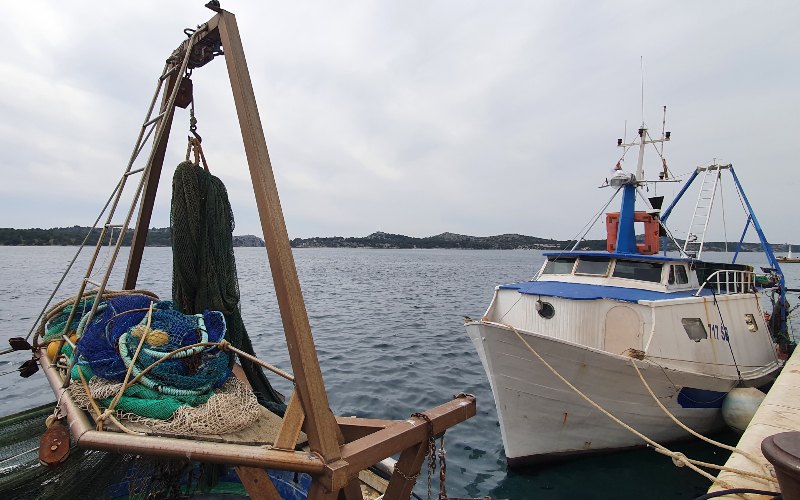 rb_schaerer_dspdalm_16 Preiskracher Dalmatien 18