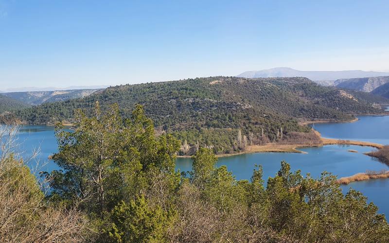 rb_schaerer_dspdalm_19 Preiskracher Dalmatien 21