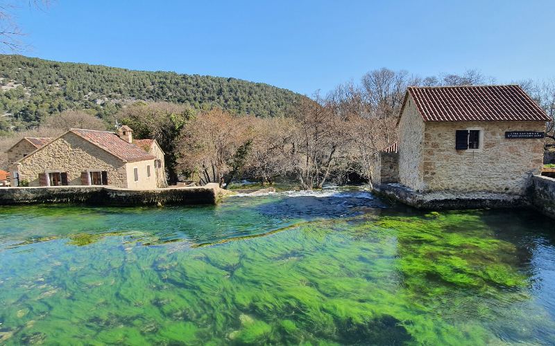 rb_schaerer_dspdalm_27 Preiskracher Dalmatien 29