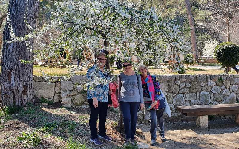 rb_schaerer_dspdalm_32 Preiskracher Dalmatien 34