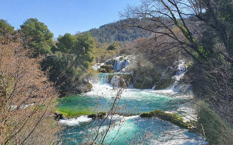 rb_schaerer_dspdalm_34 Preiskracher Dalmatien 35