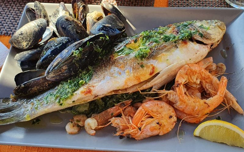 rb_schaerer_dspdalm_40 Preiskracher Dalmatien 41