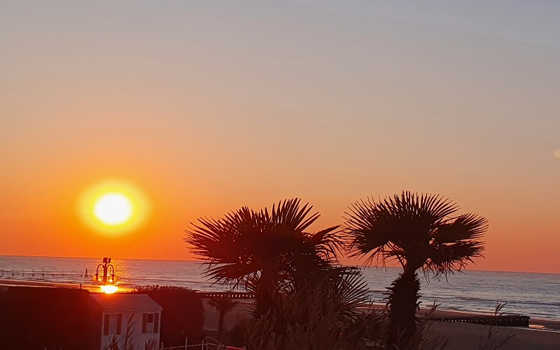 rb_schaerer_dspdalm_44 Preiskracher Dalmatien 45