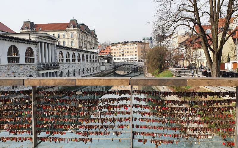 rb_schaerer_dspdalm_7 Preiskracher Dalmatien 9