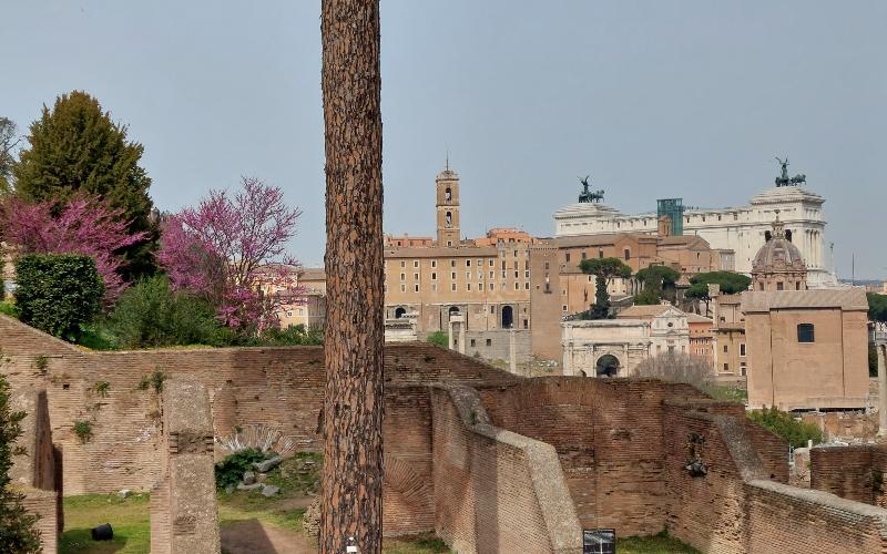 rb_wunderlich_dspraca_4 Rom, Amalfi & Capri 5