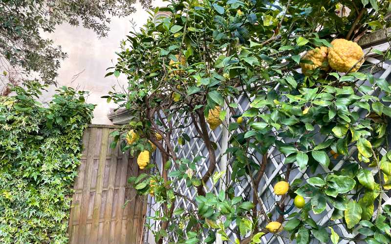 rb_alheit_drecisa_15 Cinque Terre – Elba – San Gimignano 19