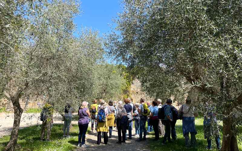 rb_alheit_drecisa_21 Cinque Terre – Elba – San Gimignano 25