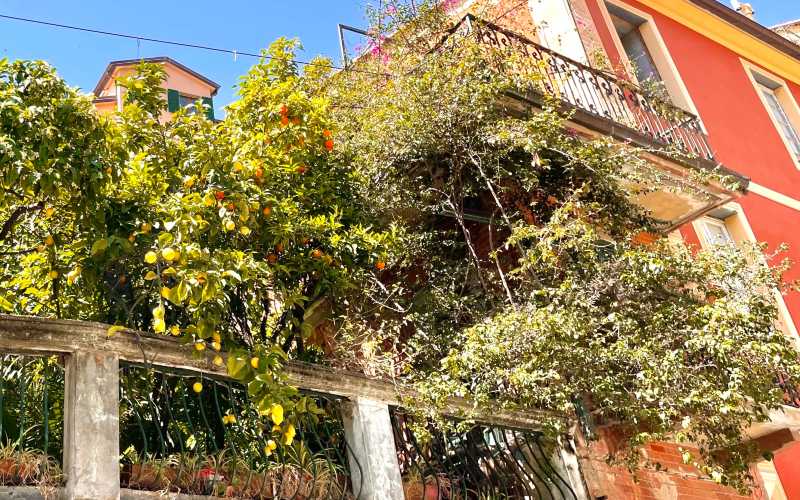 rb_alheit_drecisa_40 Cinque Terre – Elba – San Gimignano 44