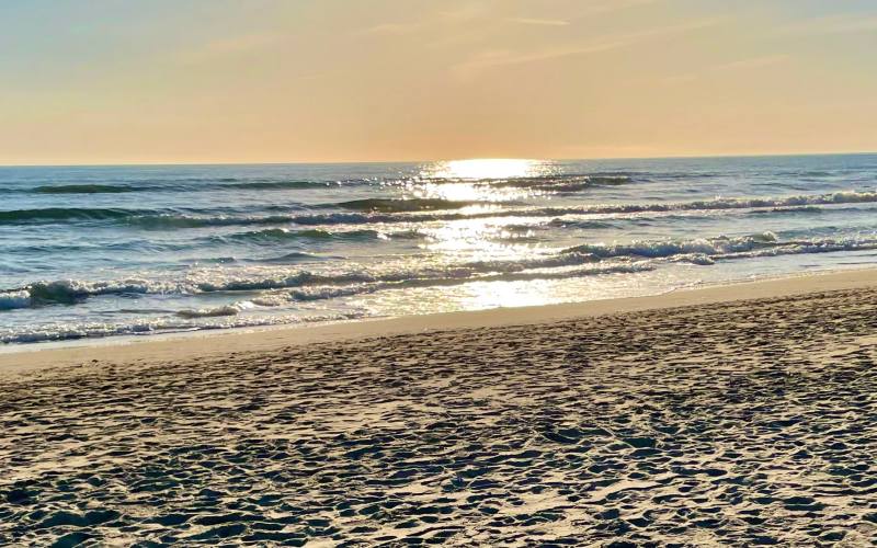 rb_alheit_drecisa_44 Cinque Terre – Elba – San Gimignano 48