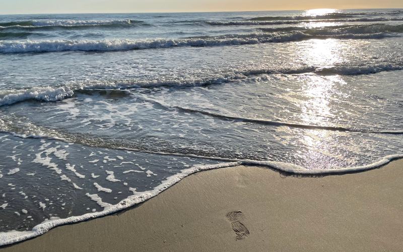 rb_alheit_drecisa_9 Cinque Terre – Elba – San Gimignano 13