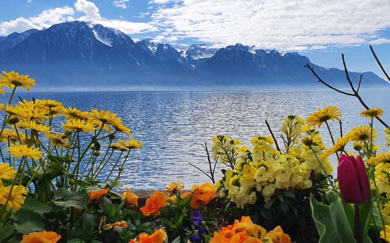 rb_schaerer_dbbboma_1 Vom Berner Oberland zum Mont Blanc mit Viola Schärer 3