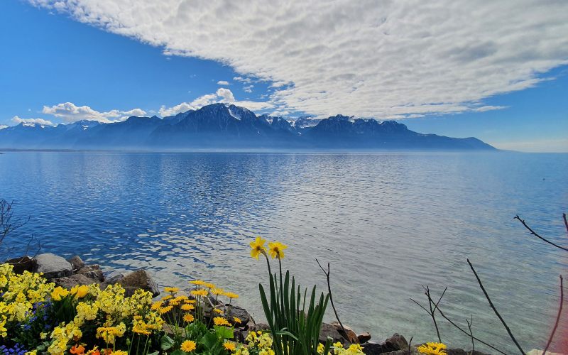 rb_schaerer_dbbboma_10 Vom Berner Oberland zum Mont Blanc mit Viola Schärer 12