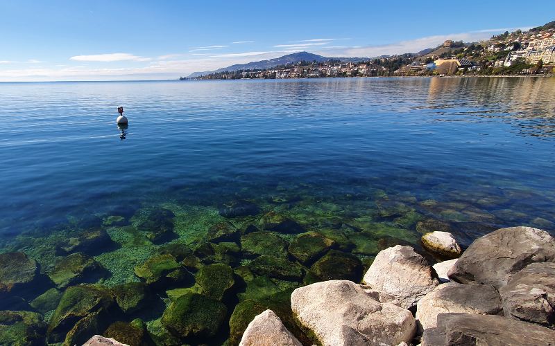 rb_schaerer_dbbboma_12 Vom Berner Oberland zum Mont Blanc mit Viola Schärer 14