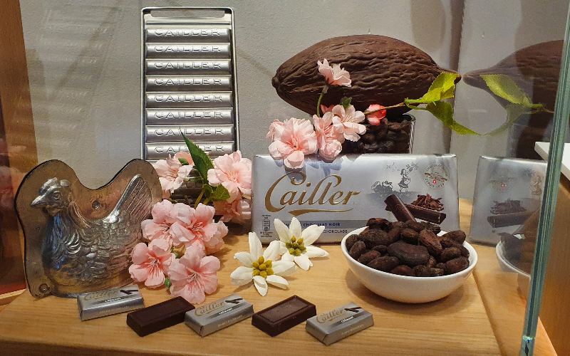 rb_schaerer_dbbboma_31 Vom Berner Oberland zum Mont Blanc mit Viola Schärer 33