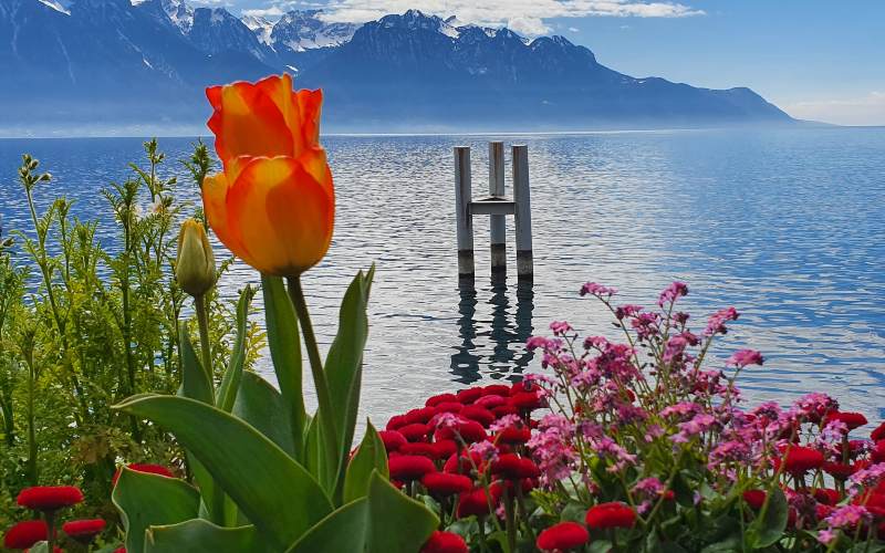 rb_schaerer_dbbboma_6 Vom Berner Oberland zum Mont Blanc mit Viola Schärer 8