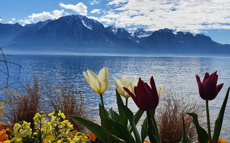rb_schaerer_dbbboma_7 Vom Berner Oberland zum Mont Blanc mit Viola Schärer 9