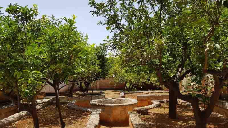 rb_dreapul_greve-12 Apulien – im Land der Trulli 45