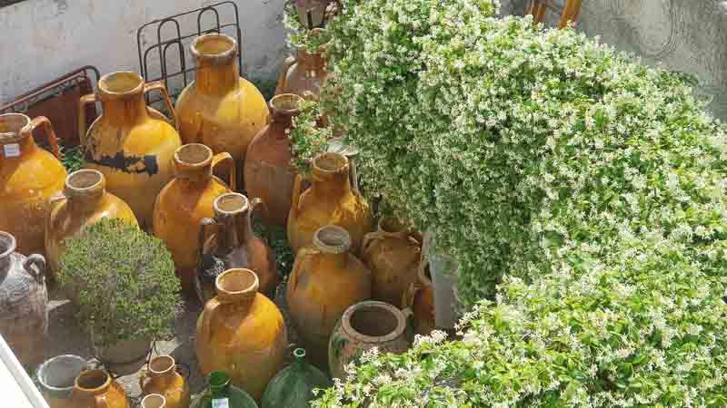 rb_dreapul_greve-22 Apulien – im Land der Trulli 55