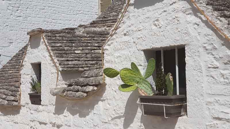 rb_dreapul_greve-23 Apulien – im Land der Trulli 56