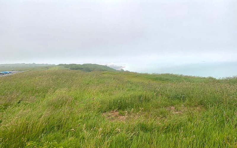 rb_drekent_alheit-1 Grafschaft Kent 29