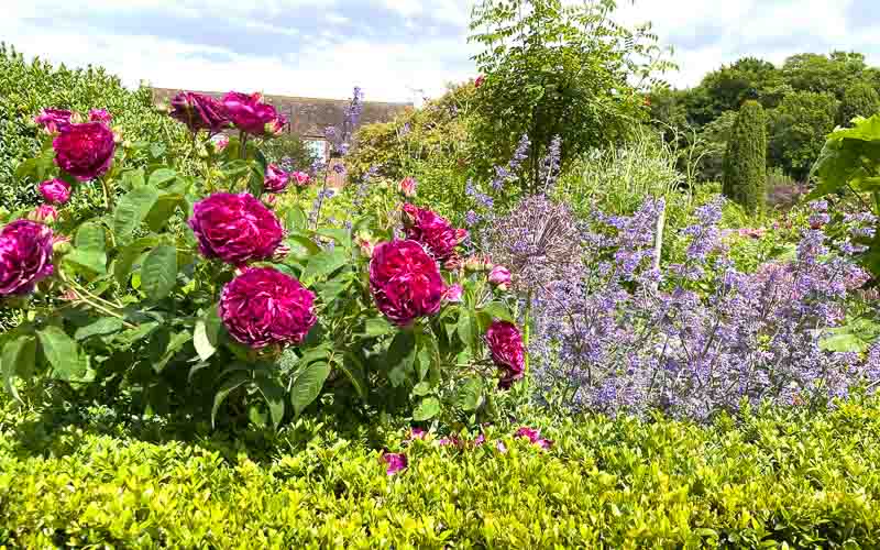 rb_drekent_alheit-24 Grafschaft Kent 6