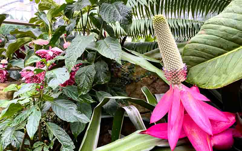 rb_drekent_alheit-7 Grafschaft Kent 23