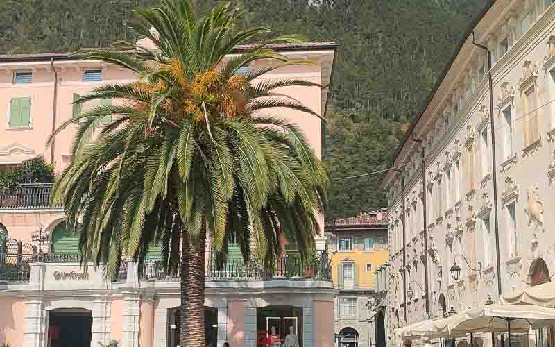 rb_dmunave_scalenghe-18 Nabucco in Verona mit Cornelia Scalenghe 43