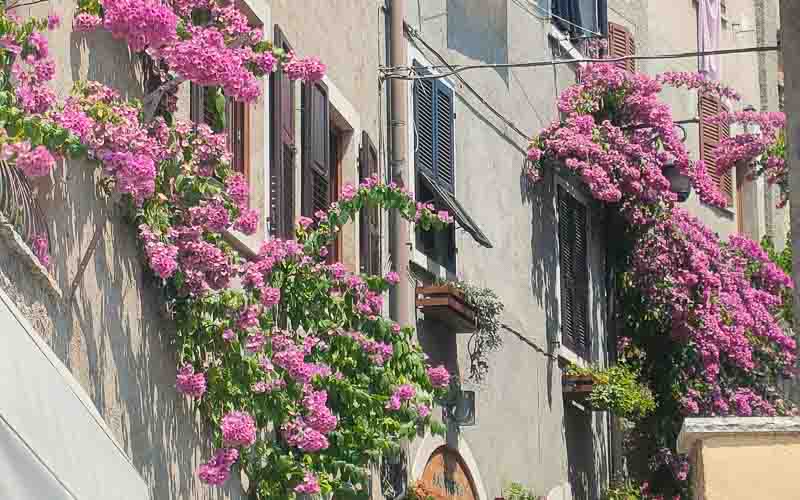 rb_dmunave_scalenghe-33 Nabucco in Verona mit Cornelia Scalenghe 3