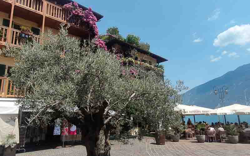 rb_dmunave_scalenghe-36 Nabucco in Verona mit Cornelia Scalenghe 6