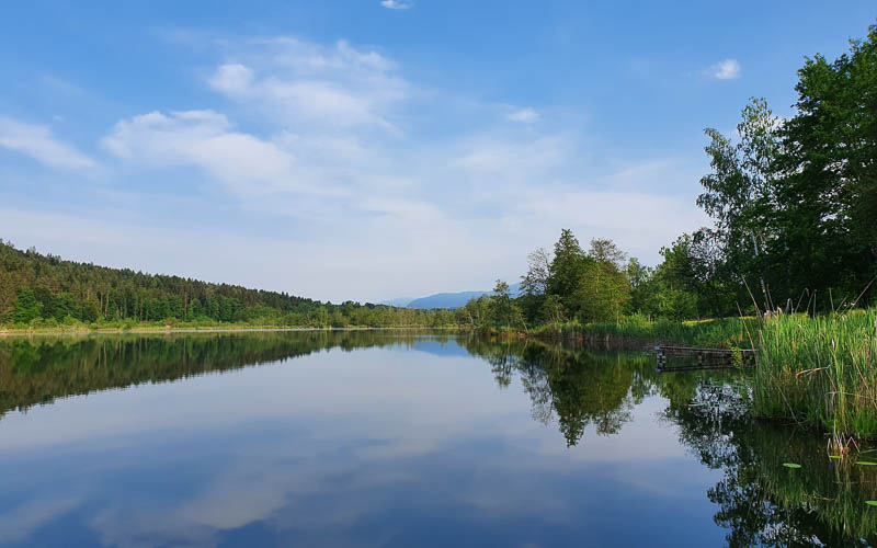 rb_dreaust_gerber-24 Servus Österreich mit Susanne Gerber 56