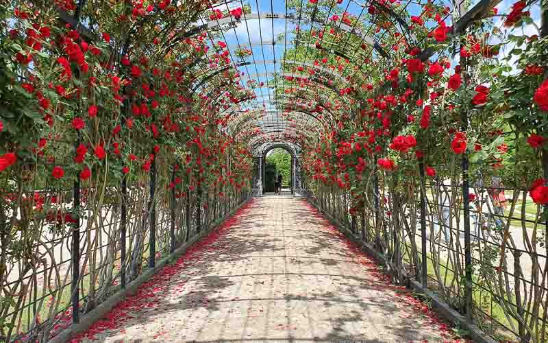 rb_dreaust_gerber-43 Servus Österreich mit Susanne Gerber 14