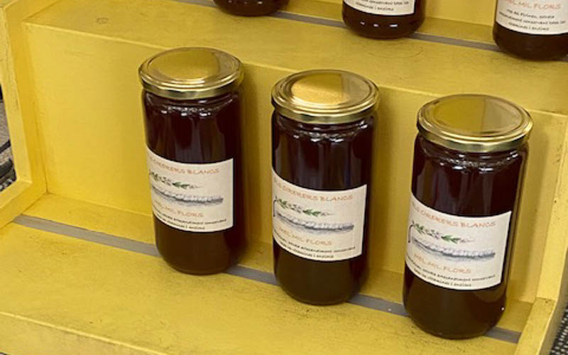 rb_Coray_RH276-15 Andorra 18