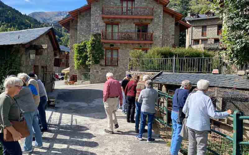 rb_Coray_RH276-33 Andorra 36