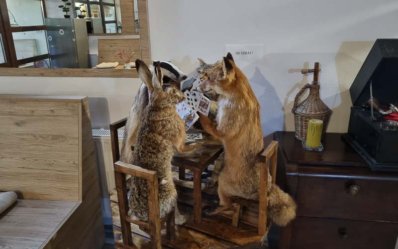 rb_Degiorgi_RH243-12 Plitvice Nationalpark & der Schatz am Silbersee mit Daniele Degiorgi 15